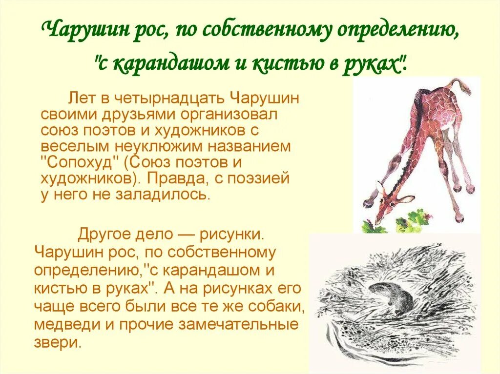 Биография чарушина кратко. Биография чарушина. жизнь и творчество е.и.чарушина. чарушин биография. е и чарушин биография.