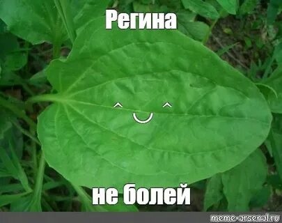 Не болей мем