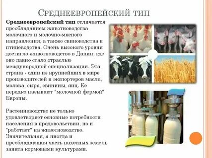 Какой тип животноводства наиболее развит в тундре