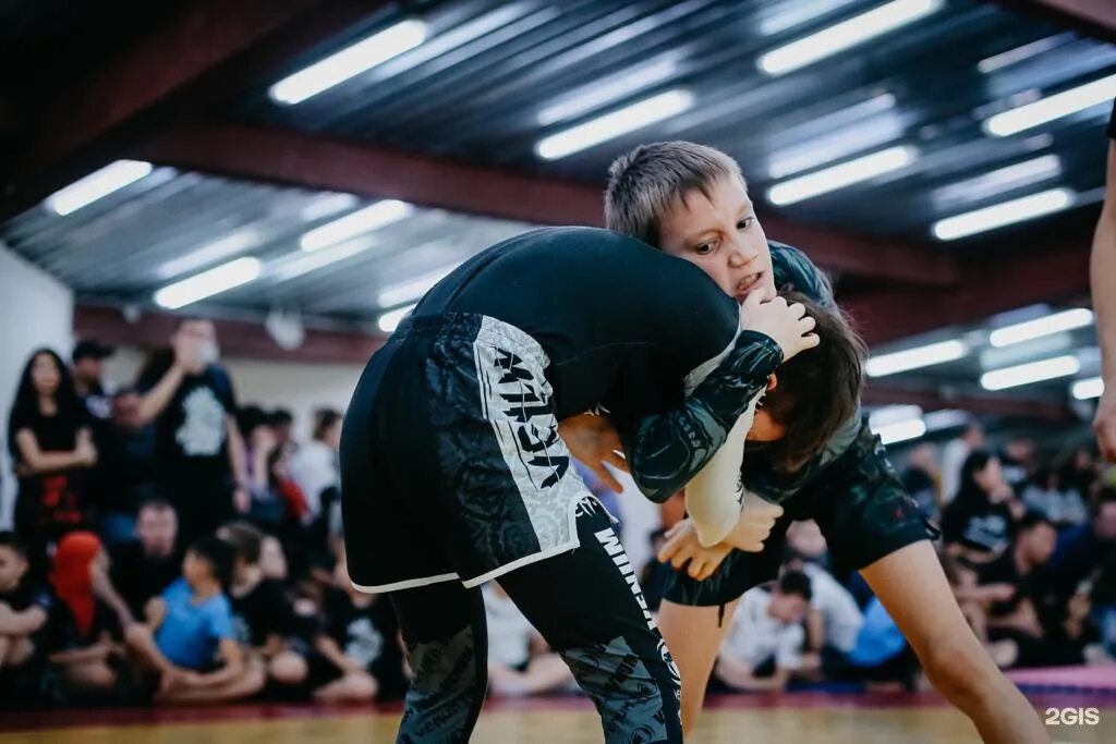 Смешанные единоборства иркутск. Боевые искусства иркутск для девушек. Сибирский медведь ангарск. Сибирский медведь ангарск. Сибирский медведь иркутск.