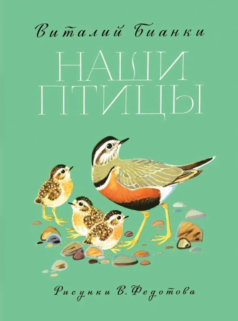 Бианки рассказы про птиц. Книга бианки наши птицы. бианки наши птицы 1983. произведения виталия бианки про птиц.