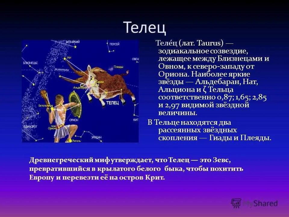 Созвездия мои ученики 61. Созвездие Телец. Сообщение о созвездии Телец. Созвездие Телец описание. Созвездие тельца интересные факты.