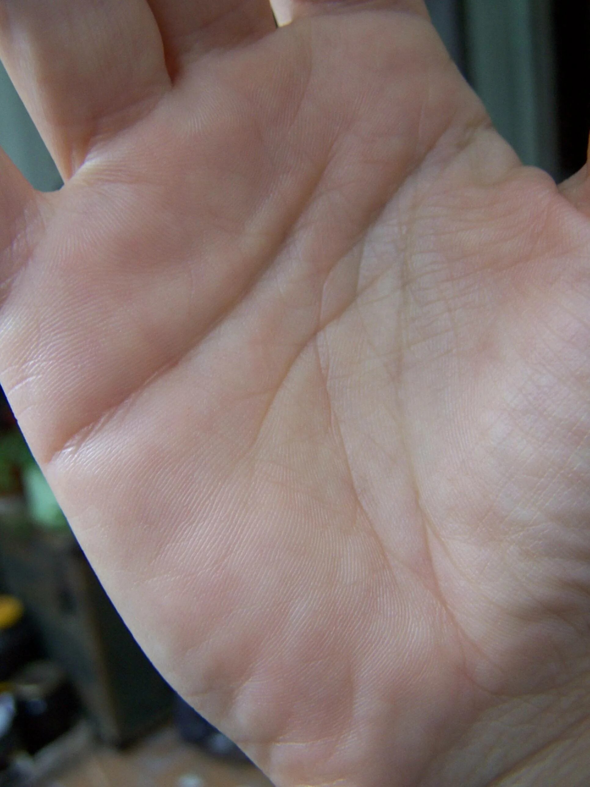 Линия жизни и линия судьбы. Ладонь. Хиромантия линия ума. Линия жизни на руке фото. Линия головы на ладони.