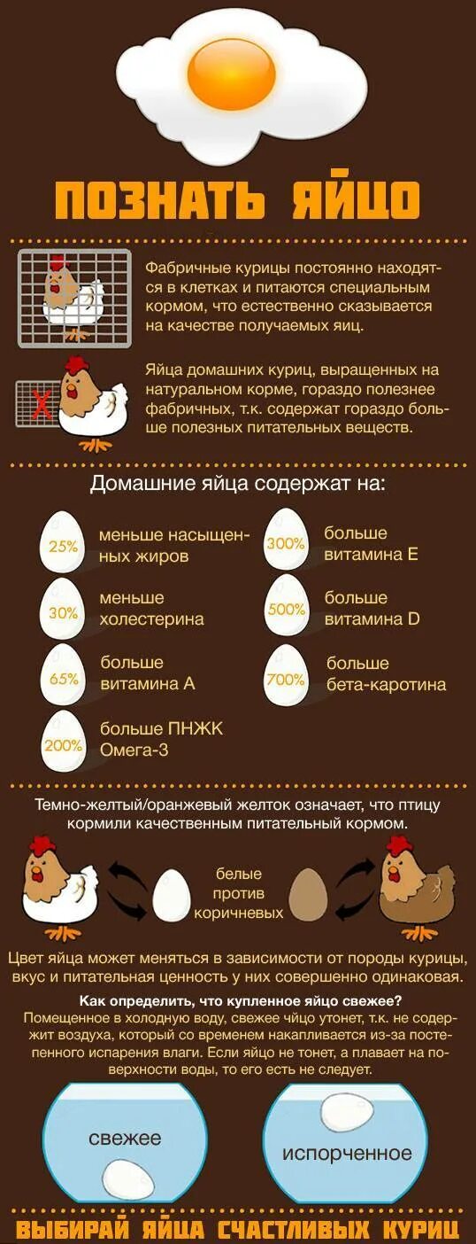 Яйцо калораж. Калорийность яйца всмятку 1шт. энергетическая ценность куриного яйца 1 шт. яйцо калорийность вареное вкрутую 1 шт куриное. инфографика яйцо.