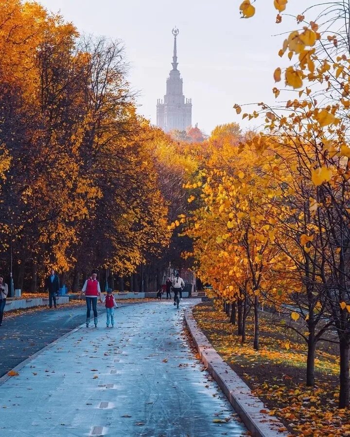 Что посетить с ребенком в москве осенью. Парк воробьевы горы москва. воробьевы горы осенью. воробьевы горы осень. воробьёвы горы смотровая площадка осень.