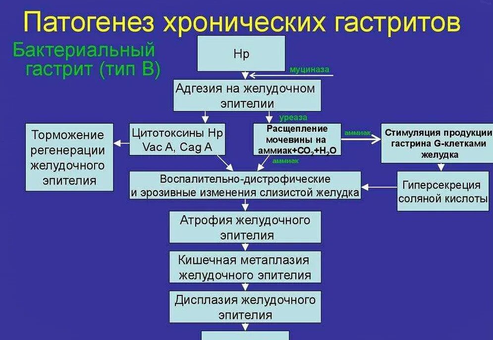 Уровни патогенеза