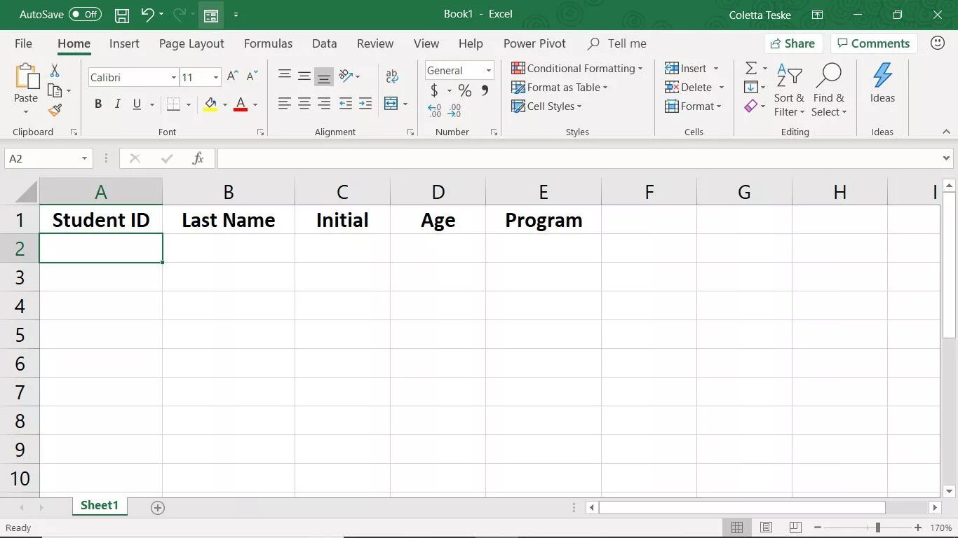 Данные форма в excel 2019. Excel formatting example. Данные форма в excel 2016. How to create a data form entry an excel. Data to excel