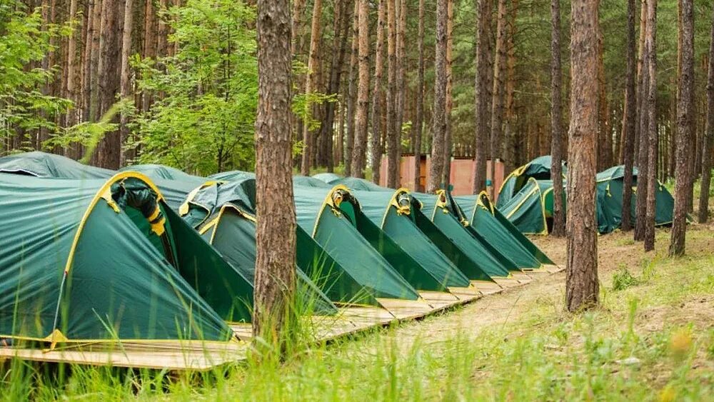Детские палаточные лагеря. Палаточный лагерь апастово. Отдых в палаточных лагерях. Палаточный лагерь. Детский палаточный лагерь.