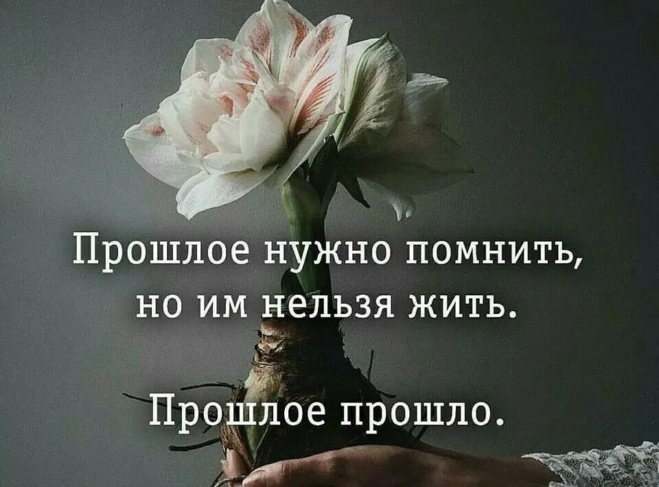 Жизнь очень быстро проходит. Жизнь очень быстро проходит. Хочу вернуться в прошлое цитаты. Вернуться цитаты. С тем что в прошлом.