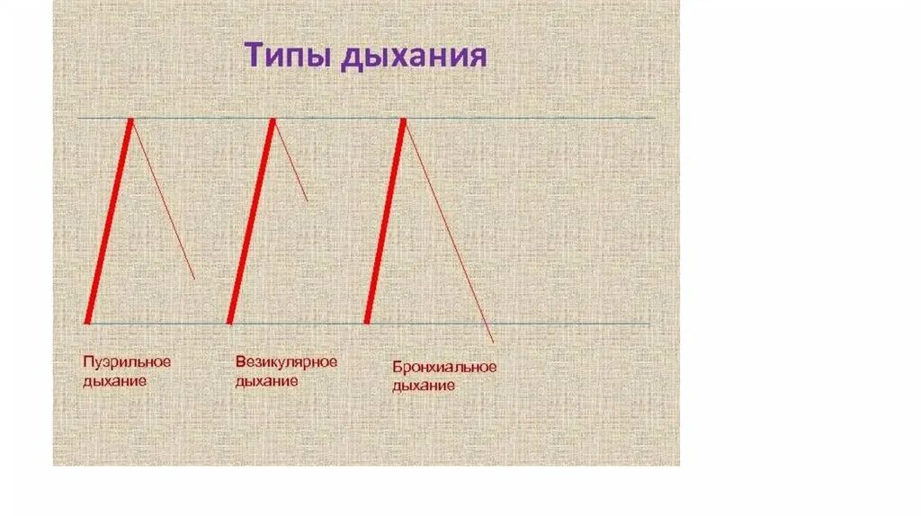 Жесткое везикулярное дыхание. Типы дыхания везикулярное пуэрильное. Типы дыхания у детей пуэрильное везикулярное. Типы дыхания у детей везикулярное. Везикулярное дыхание типы дыхания.