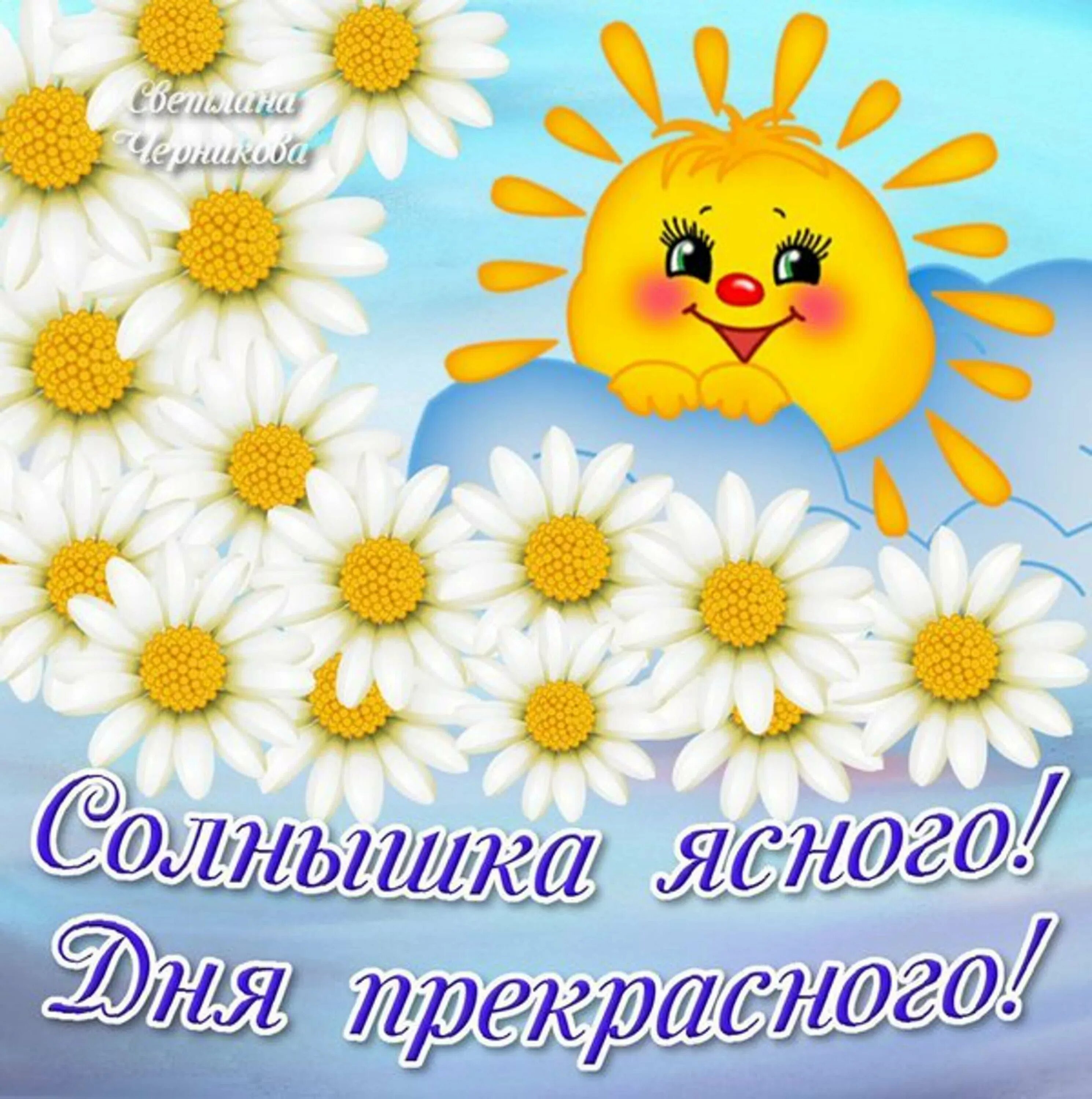 Открытка хорошего настроения, улыбайся, корова в поле, ромашки, пожелание отличн