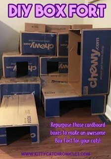 Box fort