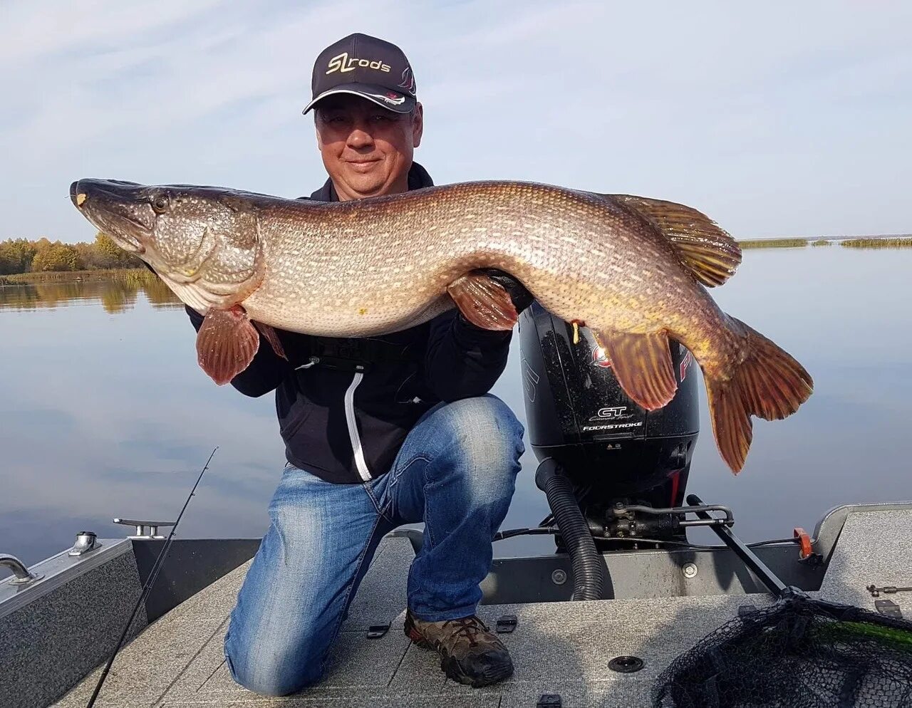 "большой улов". Крупный окунь на спиннинг. Отличный улов. Хороший улов. Отличный улов выкса магазин.