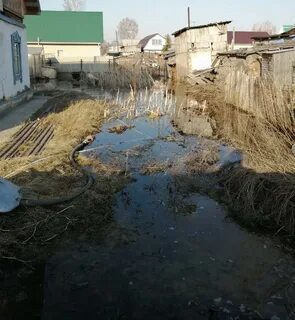 Когда дадут воду в бердске