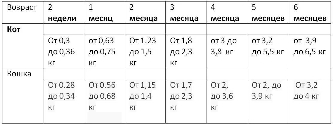 Вес котенка в 4. Вес Мейн куна по месяцам таблица. Таблица веса Мейн куна по возрасту. Вес котенка Мейн куна по месяцам таблица. Таблица веса Мейн куна котенка.