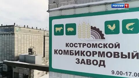 Завод комбикормов кострома