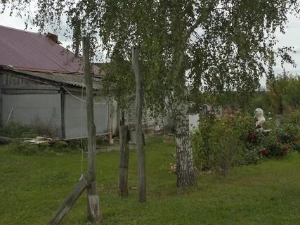 Погода огородниково рязанская область спасский