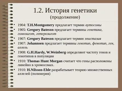 Какой из предложенных терминов