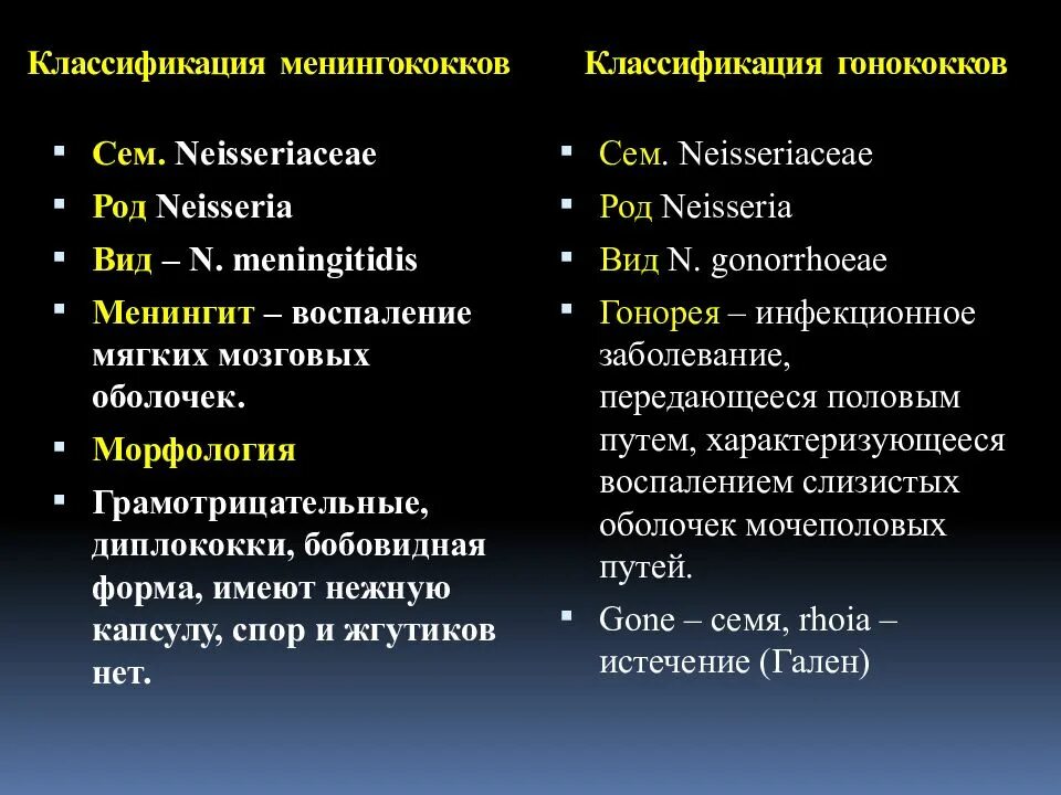 Виды менингококков