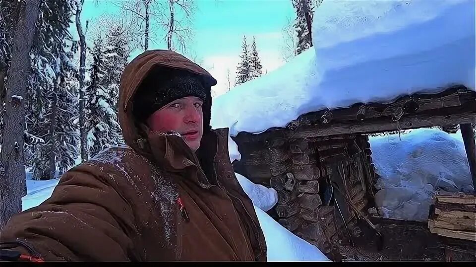 Год жизни в тайге. Год жизни в тайге. Заимка лыковых в хакасском заповеднике. Год жизни в тайге. Год жизни в тайге.