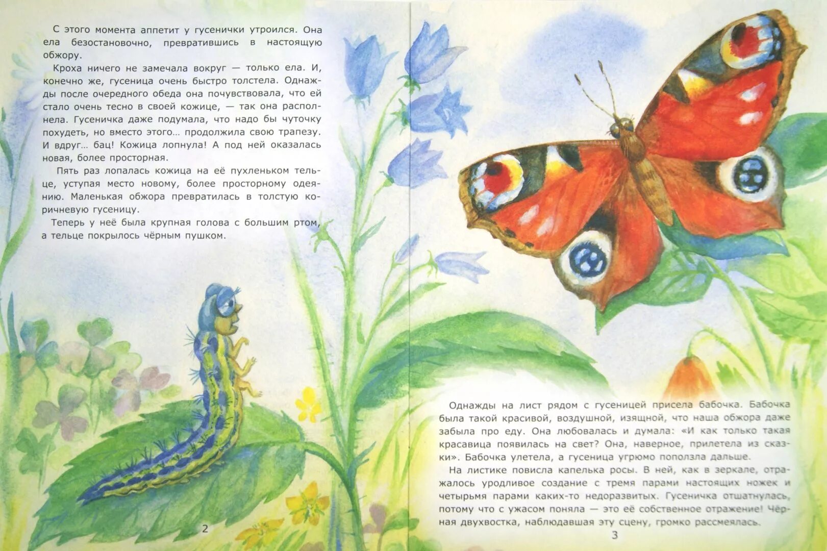 Заходер гусеница
