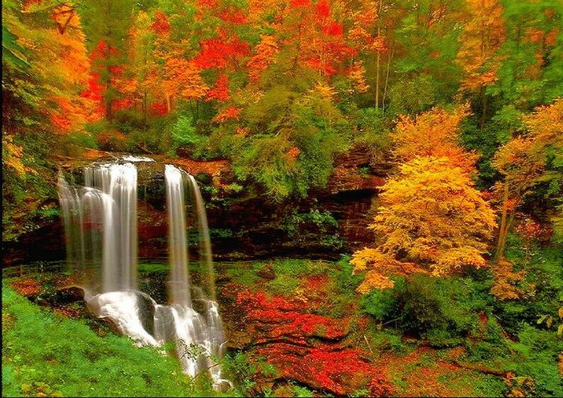 штат северная каролина природа. природа осень. Fall n. Fall guys ost (season 4). осень картинки.