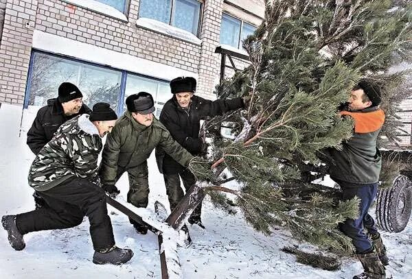 Погода овечкино алтайский край завьяловский. Село Овечкино Алтайский край. Овечкино Алтайский край Завьяловский район. Село Овечкино Завьяловского района. Село Овечкино Алтайский край Завьяловский.