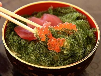 Водоросли японская кухня