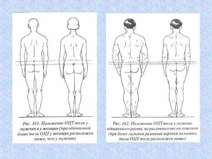Правильная осанка. Правильная осанка. Положение тела стоящего. Осанка это привычное положение тела. Положение стоя анатомия.