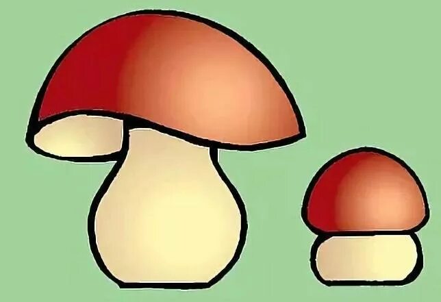 Большой и маленький гриб. Грибюольшой и маленький. Грибы для малышей. Грибы большие и маленькие. Грибочки 2