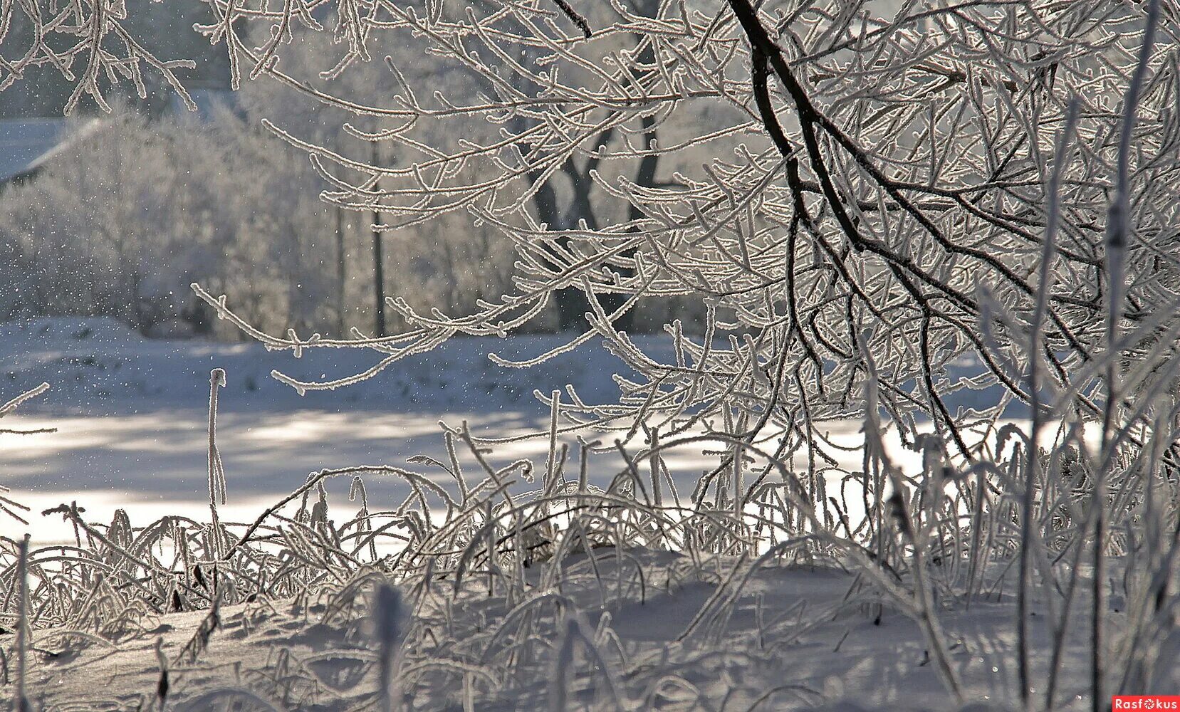 Красивые девушки на природе. Ира природа. Женщина на природе. Девушка в платье летнем. Ира природа.