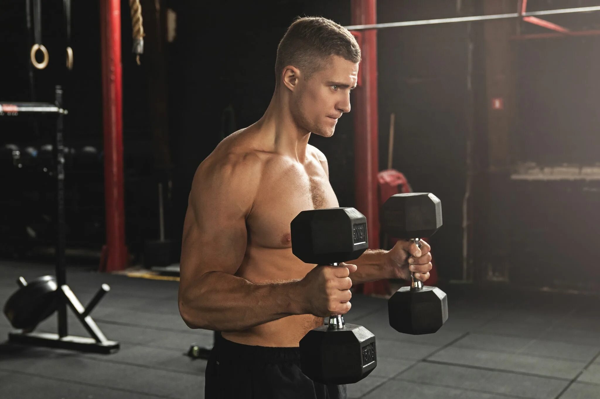 Curl authorization. Dumbbell hammer curl. бицепс. тренажеры на бицепс в зале. молотки с гантелями.