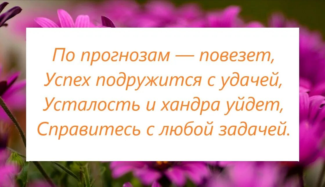 Предсказания маме на день рождения. Веселые предсказания для мамы. Шуточные предсказания судьбы для мам. Предсказания для мамы