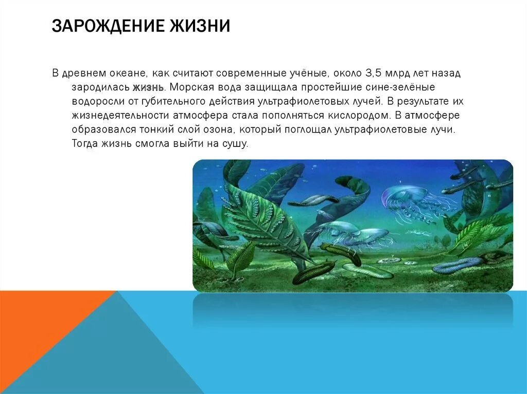 Где появились 1 организмы на земле. Жизнь зародилась в воде. Возникновение жизни в воде. Возникновение жизни в океане. Первые организмы на земле.