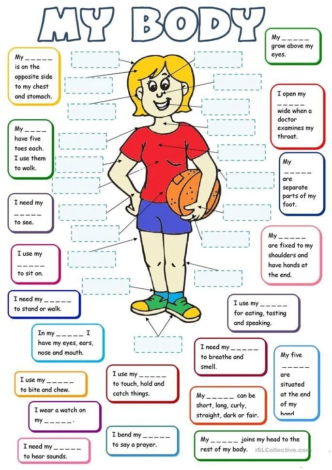 Части тела по англ. Части тела на английском языке упражнения. Части тела exercises. Упражнения на тему body Parts. Тренировка лексики