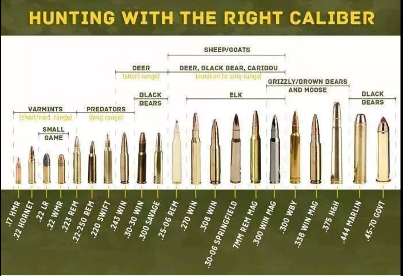 Охотиться перевод. Таблица калибров патронов для нарезного оружия. Калибры патронов для нарезного оружия таблица. Разновидность калибров патронов таблица. Калибры патронов для нарезного оружия Западная.