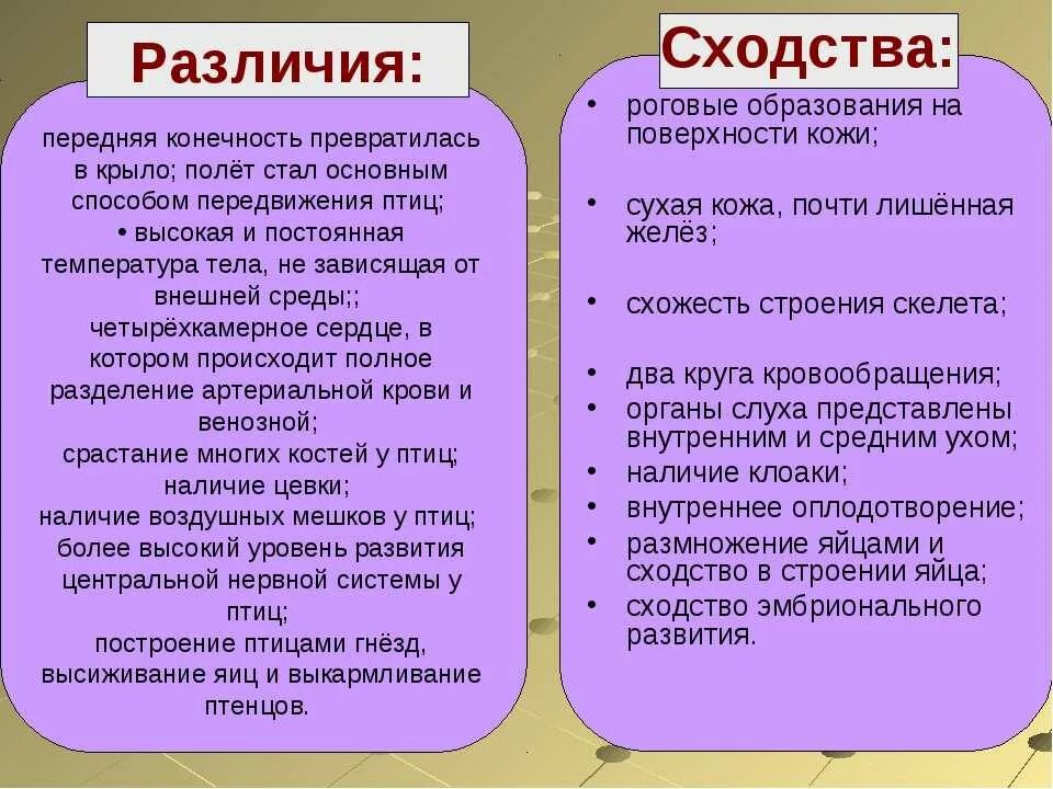 Делать различия между. Сходства и различия. Отличие различие. Отличия между различия сходство различия. Таблица сходства и различия.