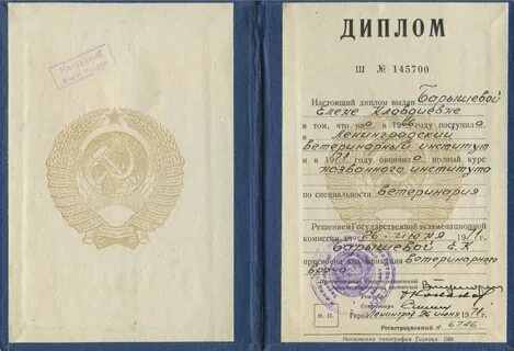 Какая тема диплома