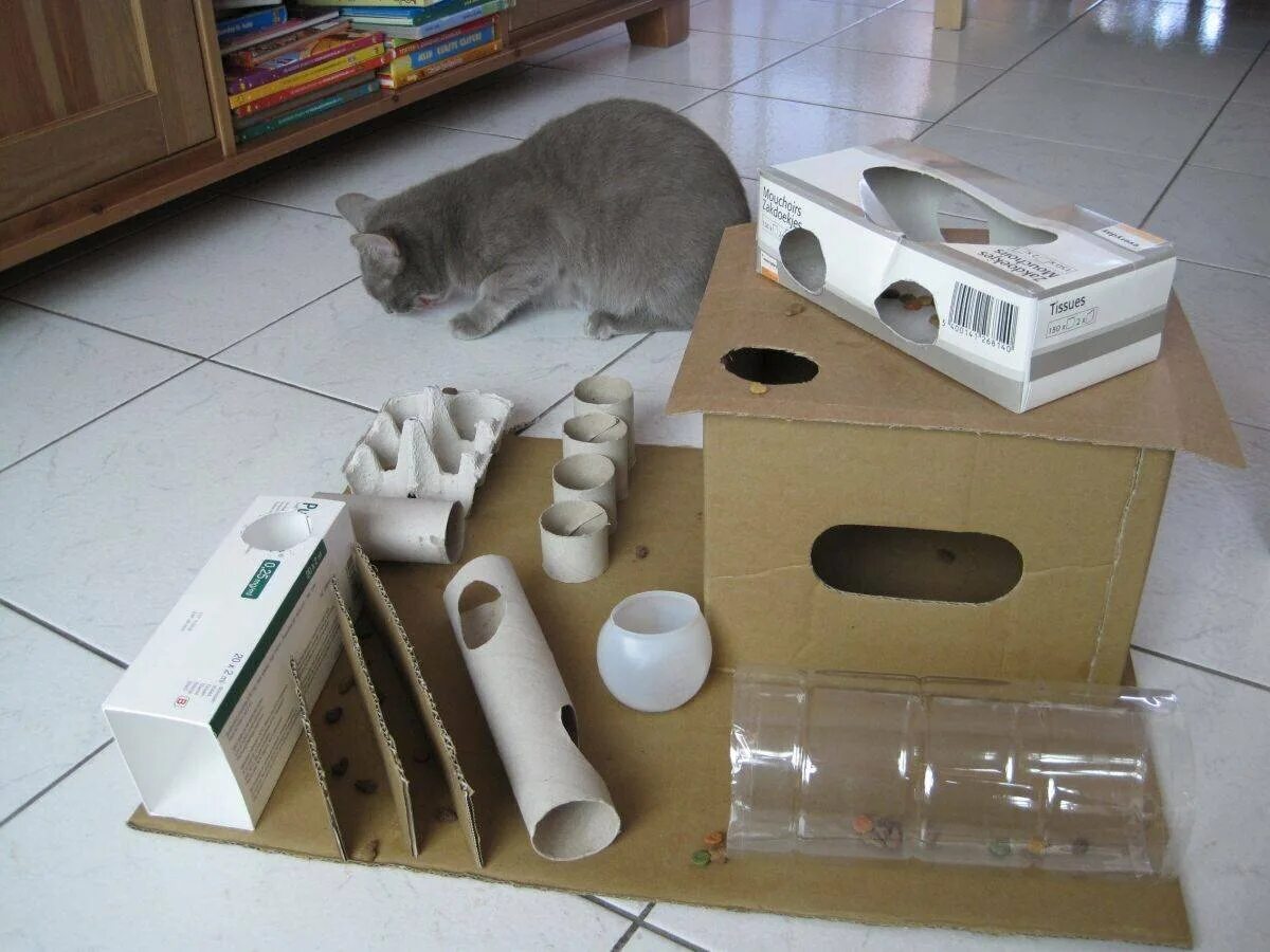 Самодельные игрушки для котов. Игрушки для кошек своими руками. Игрушка для кошки "коробка". Игрушка кот. Самодельный кот
