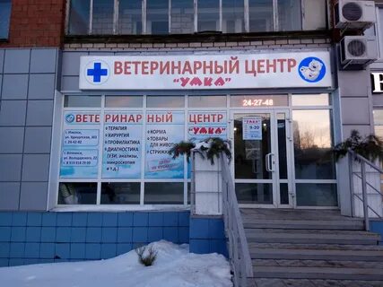 Ветлечебницы ижевска телефоны