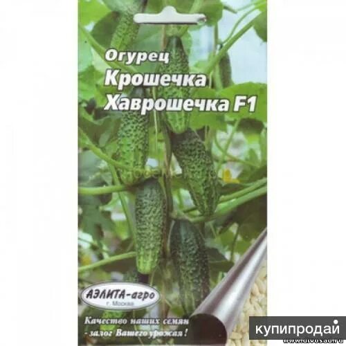 Огурцы семена лучшие длительного плодоношения. Семена огурцов крошечка Хаврошечка.