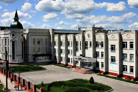 Институты г елец