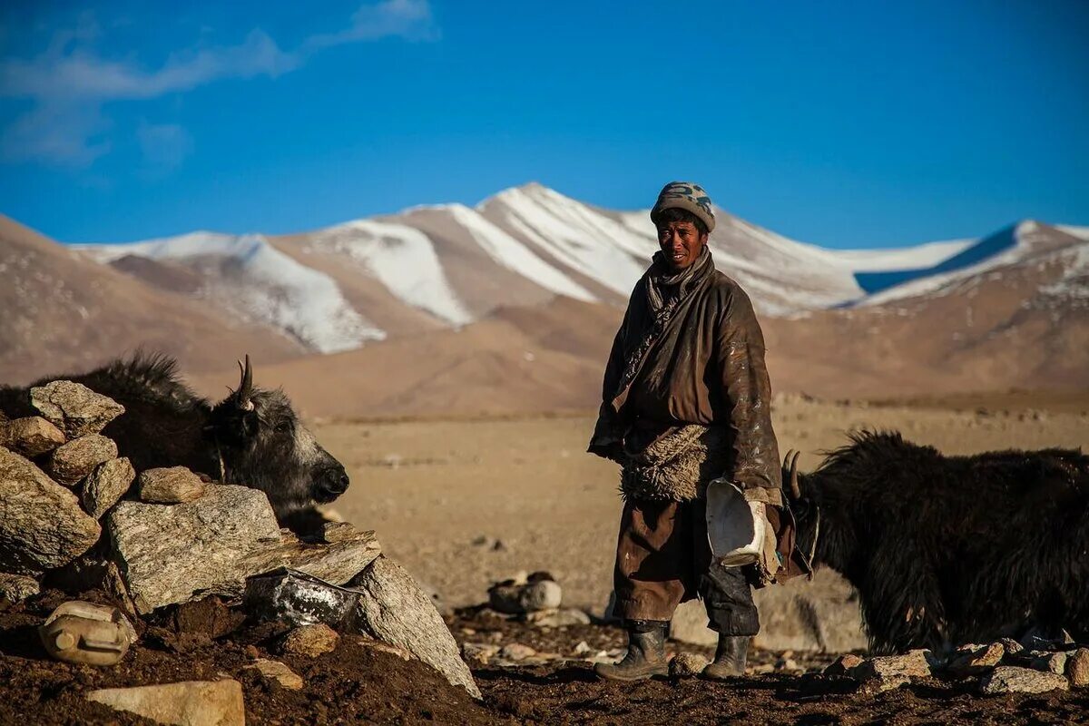 Кочевые народы жили. Кочевники Монголии. Кочевник Nomad. Современные кочевники. Современные кочевники кочевники.