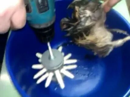 Щипалка для птицы