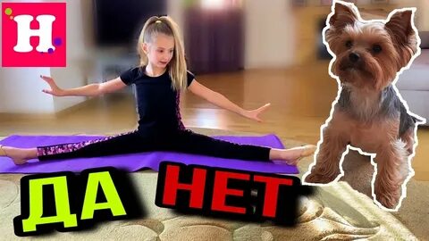 24 часа собак