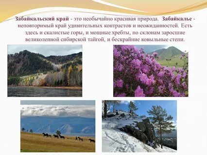 Забайкальский край презентация