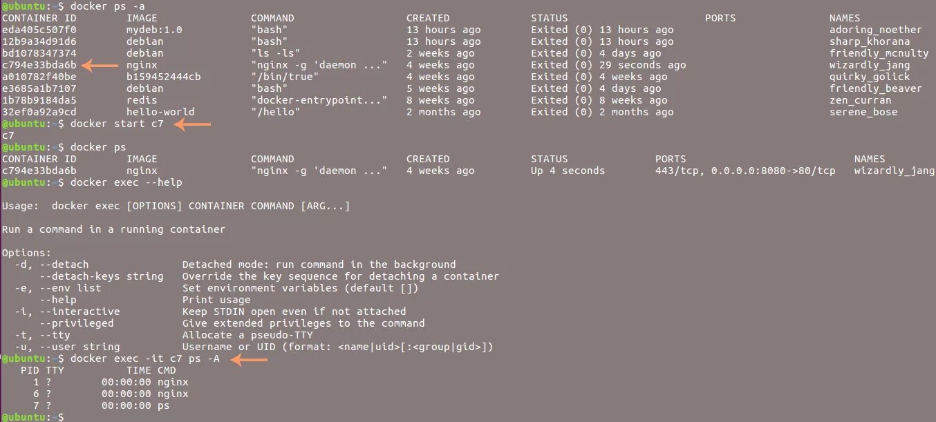 Docker detach. Docker exec. докер линукс. docker run exec -it. nginx в docker для debian.