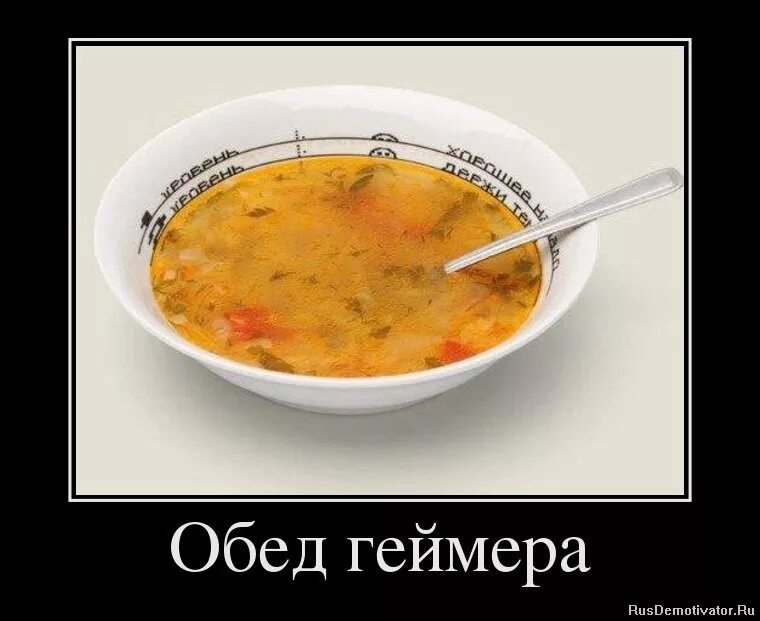 Обед удался. Коты за новогодним столом. Шутки про обед. Еда прикол. Как кормят в роддоме в китае.