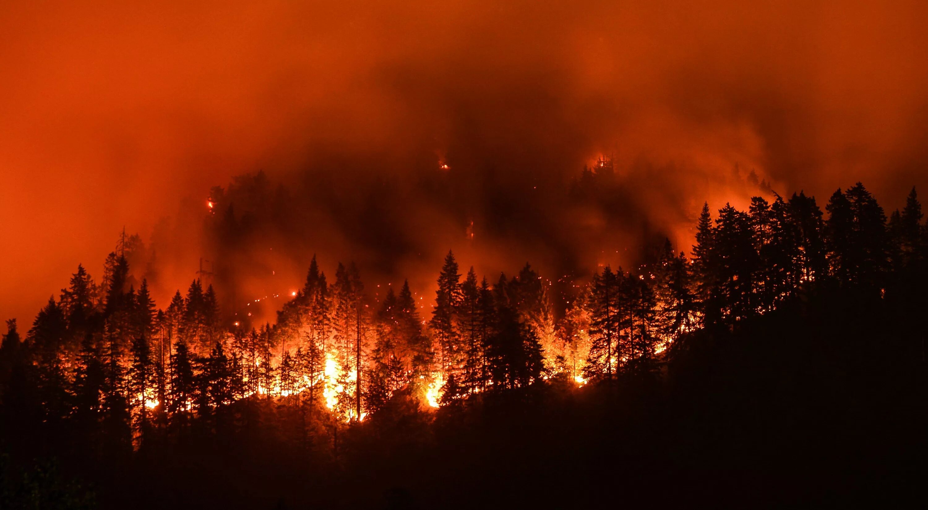 Почему много пожаров. Лесные пожары. Горящий лес. Лес в огне. Лемной повр.