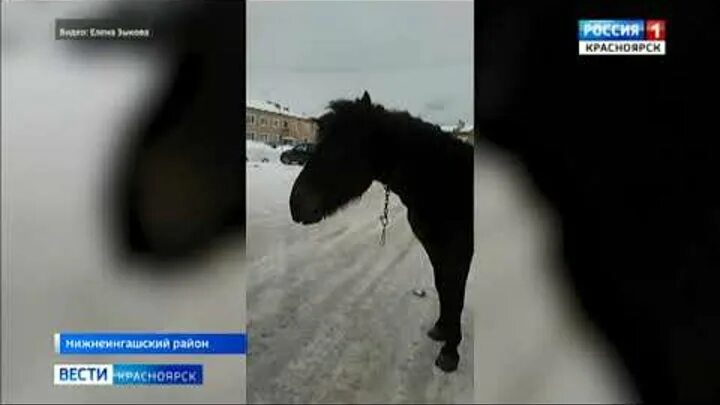 Подслушанная пойма. Подслушано нижняя Пойма. Подслушано нижняя Пойма Красноярский край. Подслушано нижняя Пойма решоты. Нижняя Пойма подслушка.